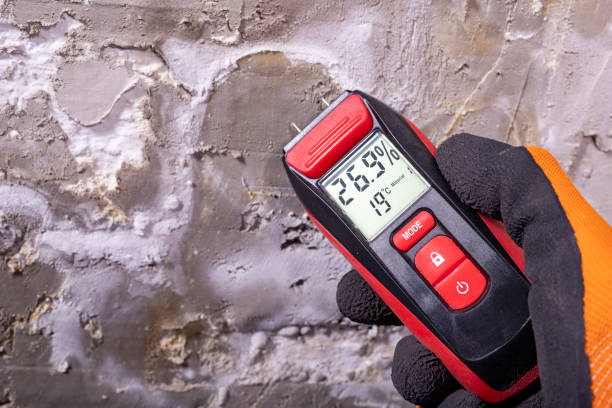 Best Mold Testing  in Wofford Heights, CA