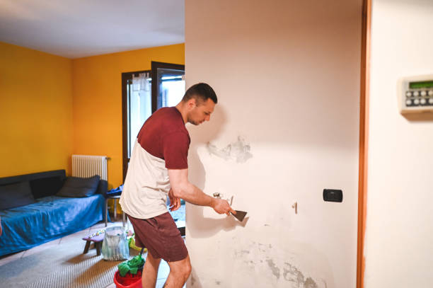 Best Black Mold Removal  in Wofford Heights, CA